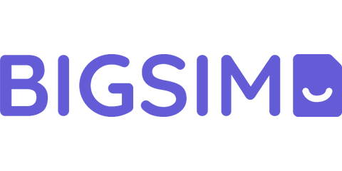 BIGSIM